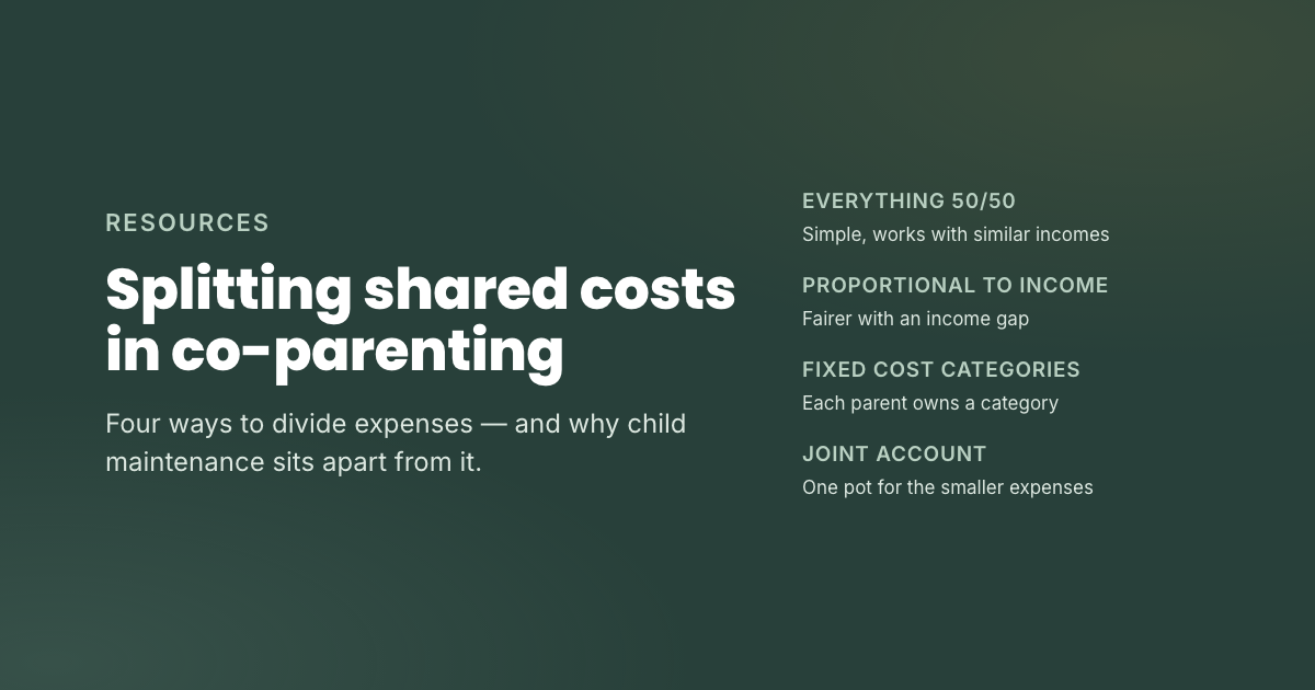 Splitting costs in co-parenting: four ways